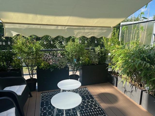 Petit Cocon des Rives Proche Stanislas-terrasse & parking gratuit - Apartment mit 1 Schlafzimmer - 33