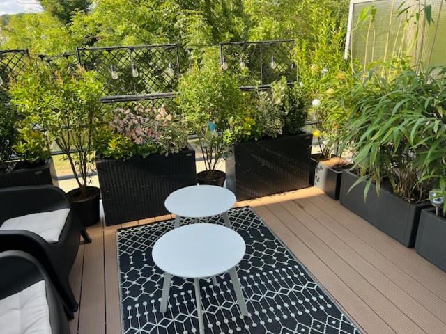 Petit Cocon des Rives Proche Stanislas-terrasse & parking gratuit - Apartment mit 1 Schlafzimmer - 38