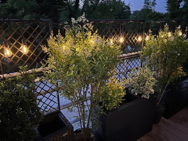 Petit Cocon des Rives Proche Stanislas-terrasse & parking gratuit - Apartment mit 1 Schlafzimmer - 39