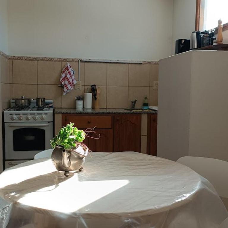 Tilo - Departamento 5 - Apartamento de 1 dormitorio - 2