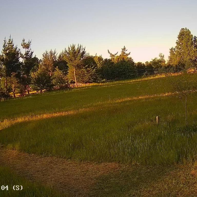 Cabaña en Freire - Casa de 2 dormitorios - 2