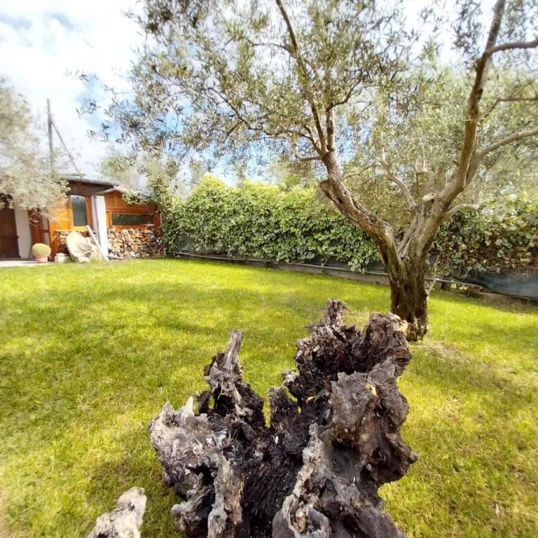 NURAS - Casa Marina Seaview - Peaceful Retreat - Appartamento con 2 Camere da Letto - 44