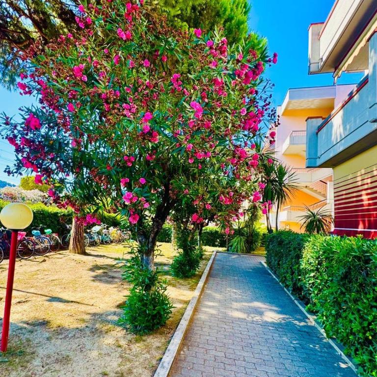 la pineta - Appartamento con 1 Camera da Letto e Terrazza - 18
