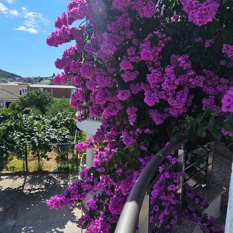 KIWI Apartments - Apartman sa 1 Spavaćom Sobom - 21