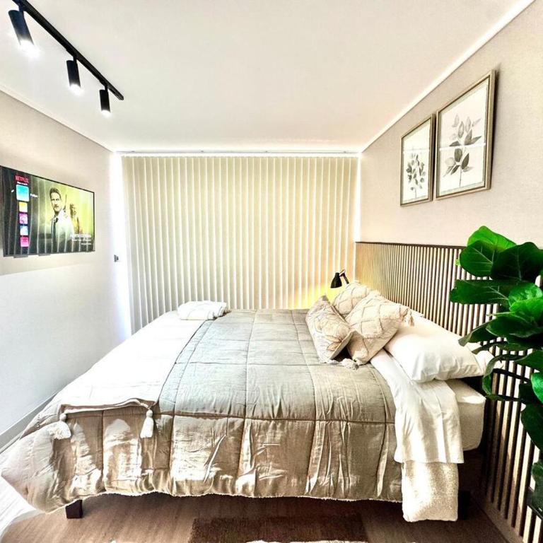 PRO HOME Rímini - One-Bedroom Apartment - 2