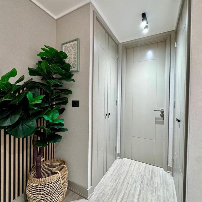 PRO HOME Rímini - One-Bedroom Apartment - 21