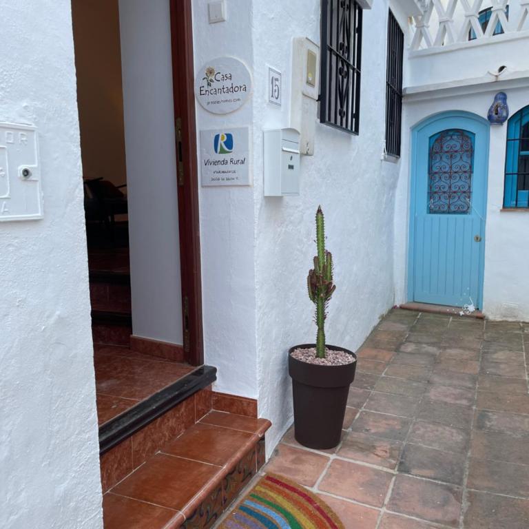 Cosy Andalusian Home with Roof Terrace in Town Centre - Casa de 2 dormitorios - 5