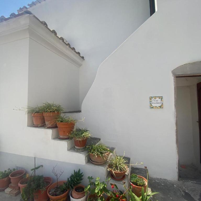 Casa Donna Concetta - Appartamento con 1 Camera da Letto - 24