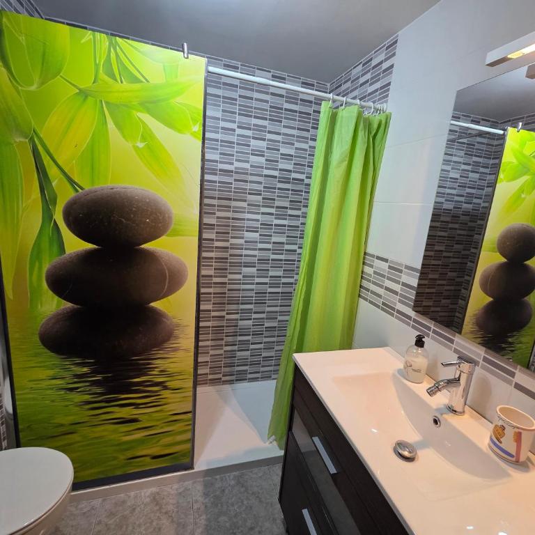 Excelente apartamento en el Pirineo aragonés - Apartamento - 17