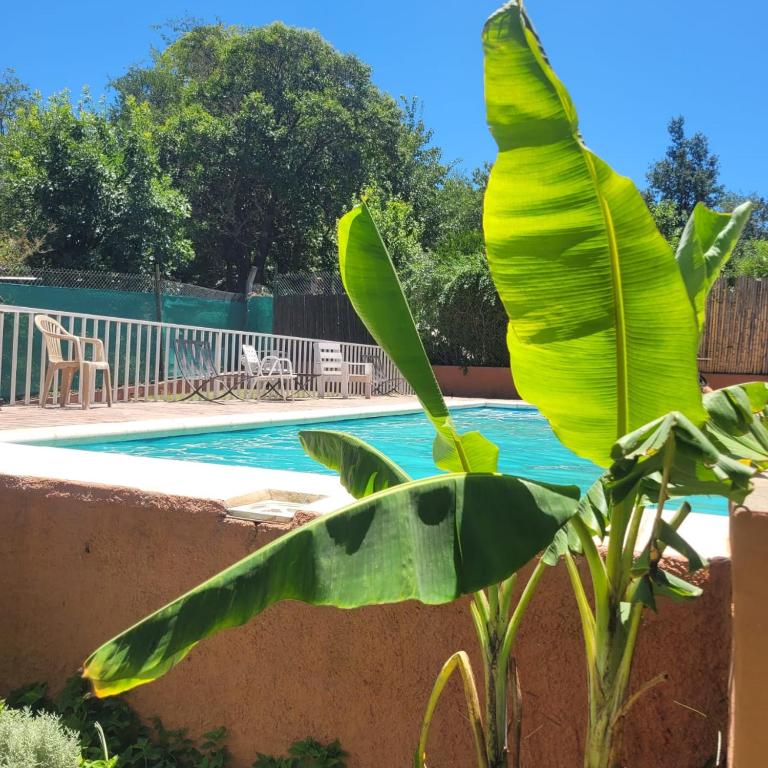 El Nogal - Apartamento de 1 dormitorio - 11