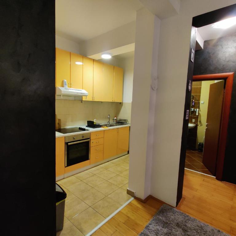 Djurdja apartment, free parking - Apartman sa 1 Spavaćom Sobom - 11