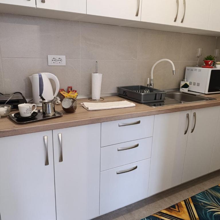 Apartman Bjanka - Apartman sa 1 Spavaćom Sobom - 11