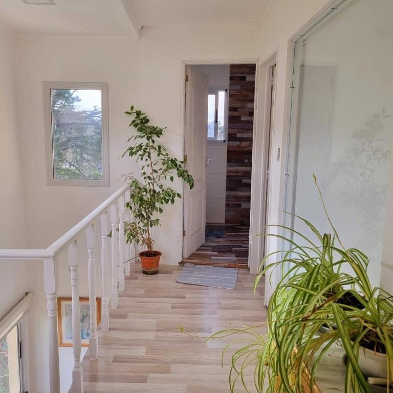 Casa en Sierra de los Padres - Casa - 22