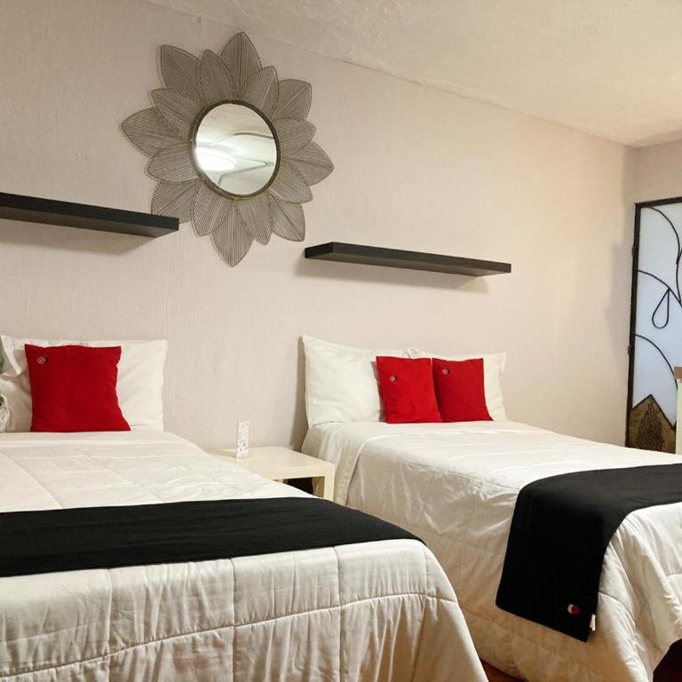 Suites Viveros Coyoacán I Hospedaje a tu medida - Family Suite - 5