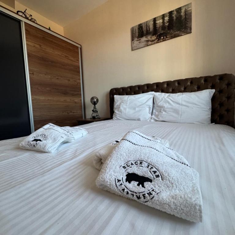 Black Bear Apartment - Apartman sa 1 Spavaćom Sobom - 5