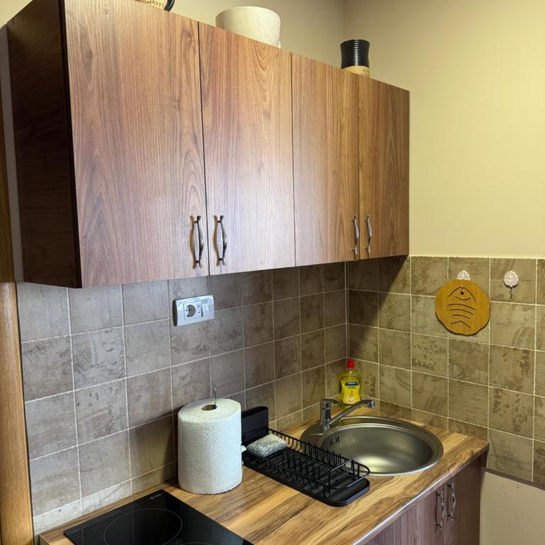 Black Bear Apartment - Apartman sa 1 Spavaćom Sobom - 4