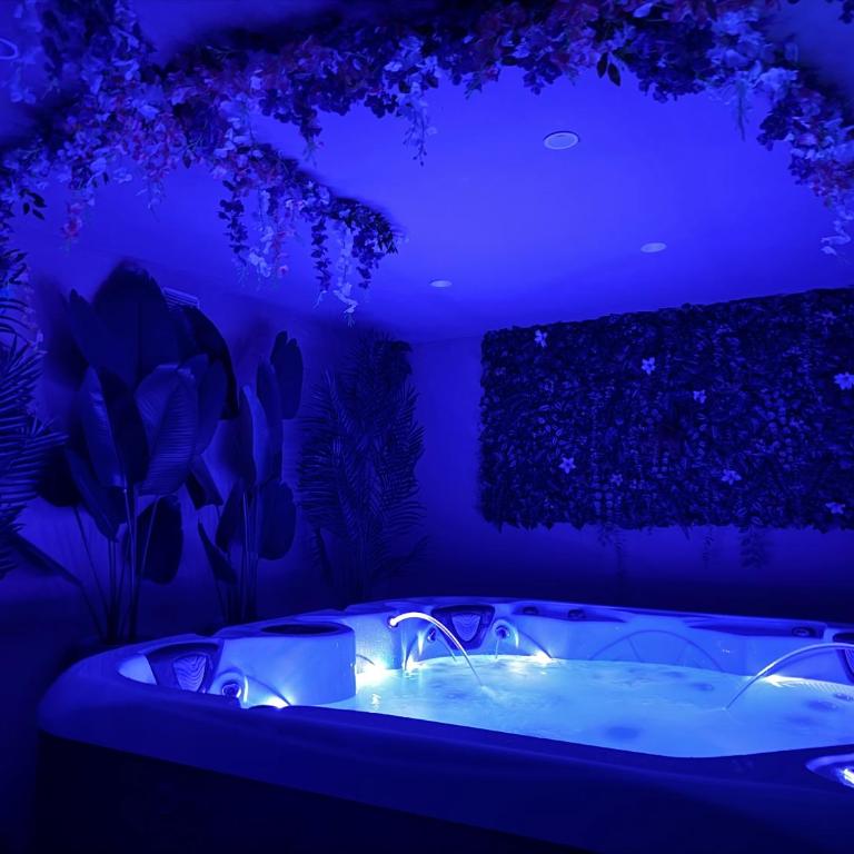 Domaine Le Rocher d Argent avec Piscine Extérieur ,Jacuzzi Intérieur et Salle de jeux - Appartamento con 2 Camere da Letto - 17