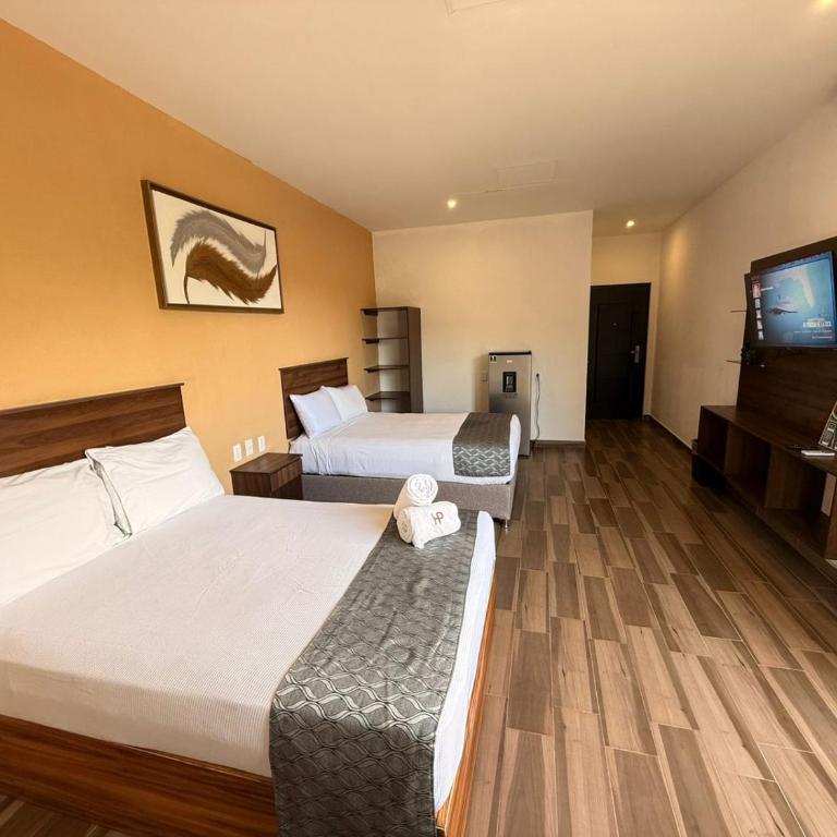 Lofts Terra Nuevo Vallarta - Estudio Doble Deluxe - 4