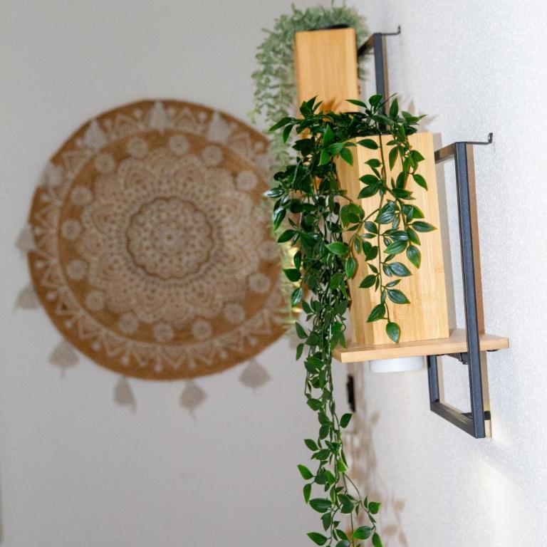 Entire apartment for rent - Appartamento con 1 Camera da Letto - 18