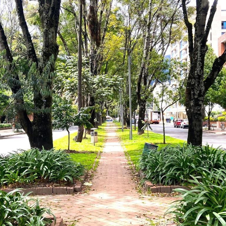 Parque 93 apartamento ideal - Apartamento de 1 dormitorio - 22
