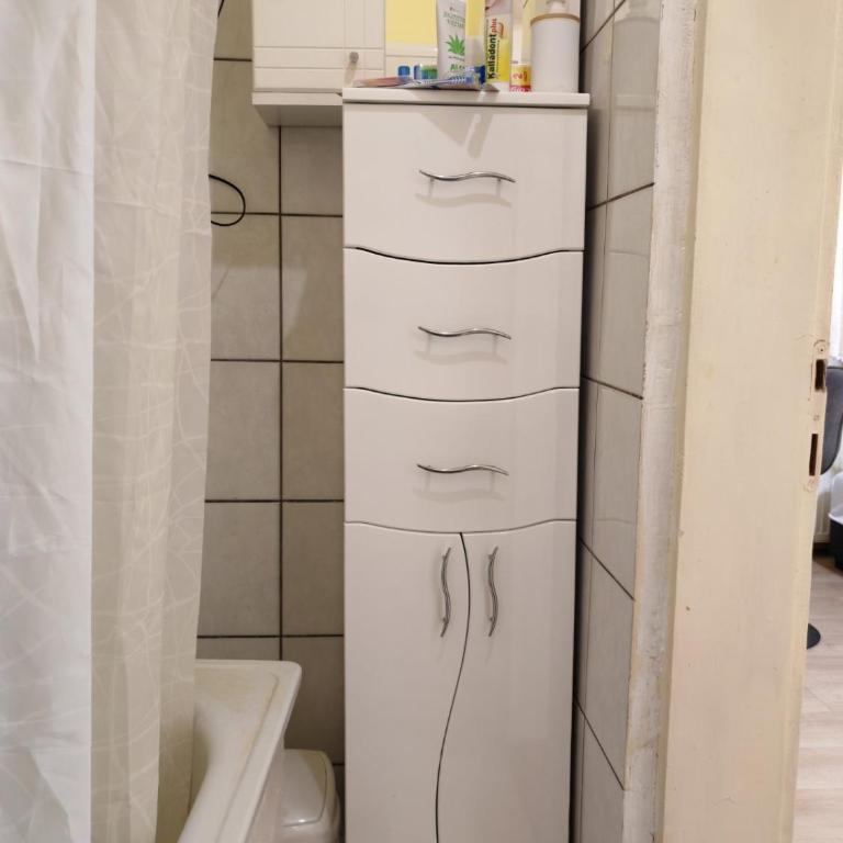 Apartman Trivanović - Apartman sa 1 Spavaćom Sobom - 14