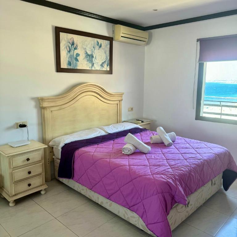 Apartamentos Mediterraneo - Apartamento 1 dormitorio con vistas al mar y terraza - 3