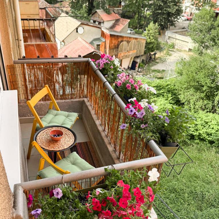 Stylish 2BR Nest near Bascarsija and Cafes - Two-Bedroom Apartment - 24
