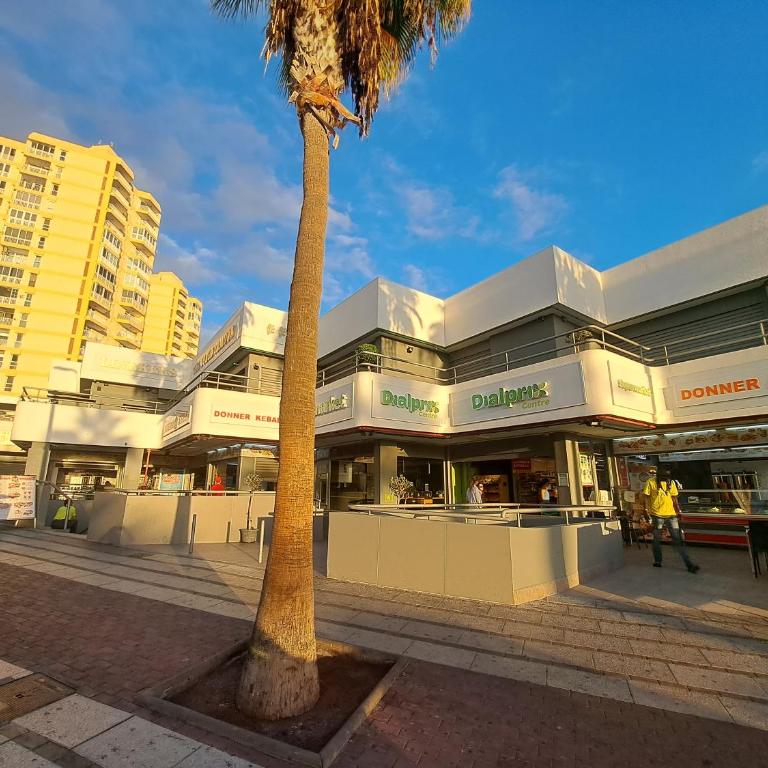 Pulse View - Las Americas - Apartamento de 1 dormitorio - 23