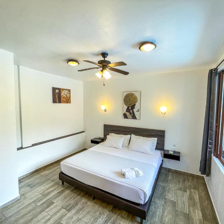 Toucan Platinum Suites Aparthotel - Suite Deluxe con cama extragrande - 7