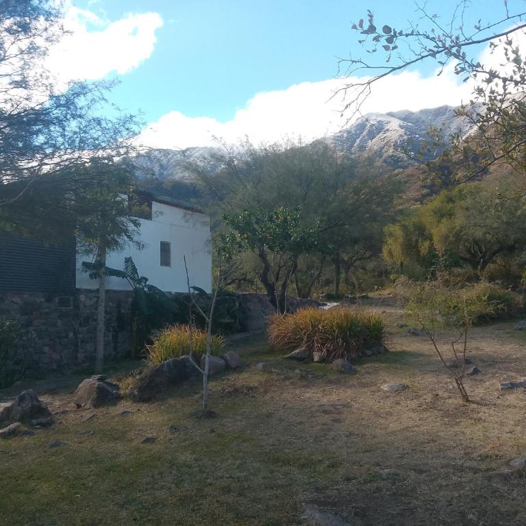 Finca de montaña agua Gracian - Four-Bedroom House - 23