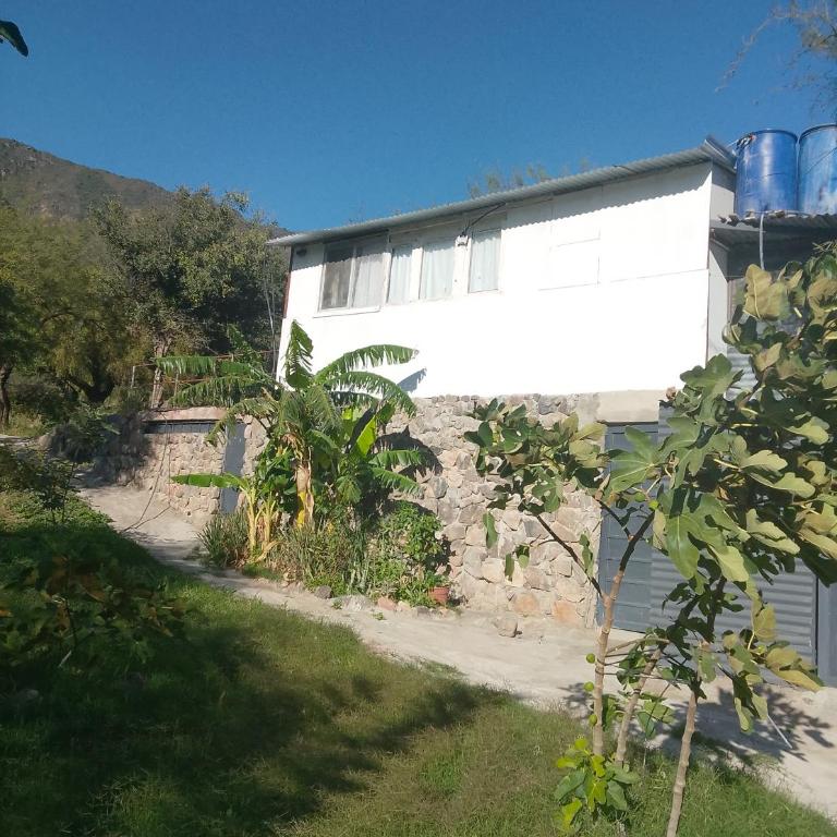 Finca de montaña agua Gracian - Four-Bedroom House - 10