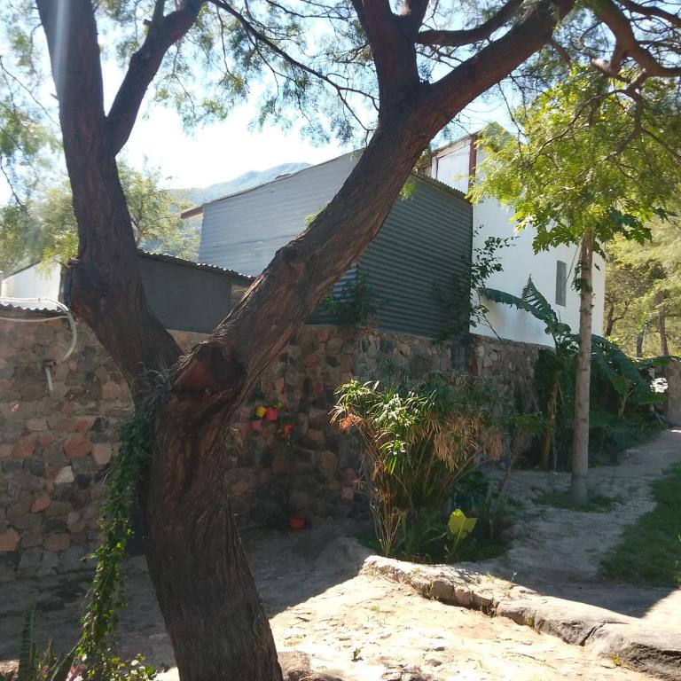 Finca de montaña agua Gracian - Four-Bedroom House - 25