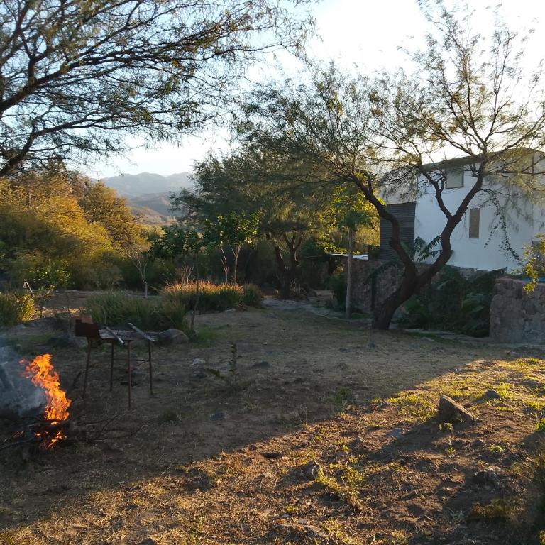 Finca de montaña agua Gracian - Four-Bedroom House - 27