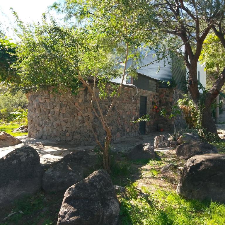Finca de montaña agua Gracian - Four-Bedroom House - 28