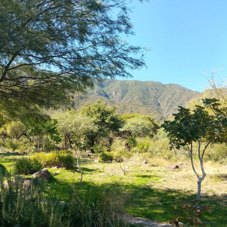Finca de montaña agua Gracian - Four-Bedroom House - 22