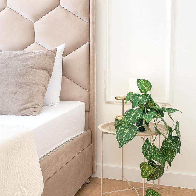 Central Belgrade Apartments BW - Budget Double Room - 20