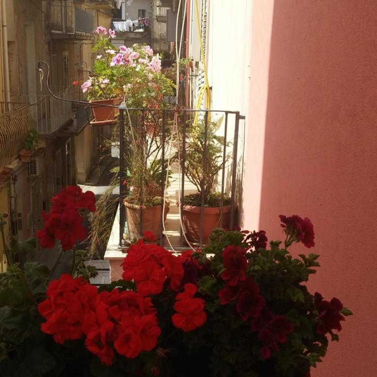 Casa Sant'Anna - Suite con 2 Camere da Letto - 5