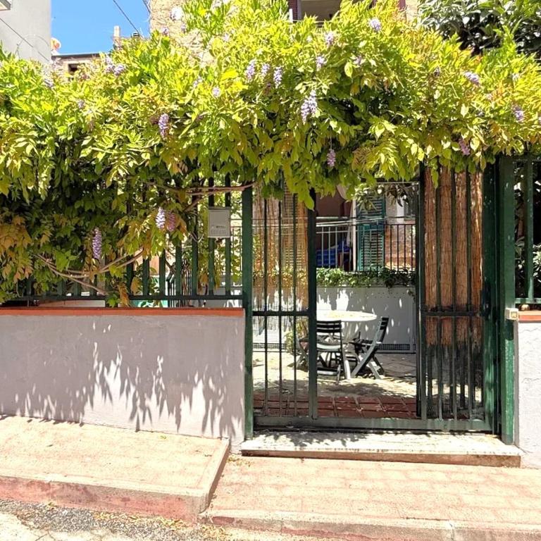 Historical Center with Garden "The Beach and The Cliff" 4 - Appartamento con Vista Giardino - 8