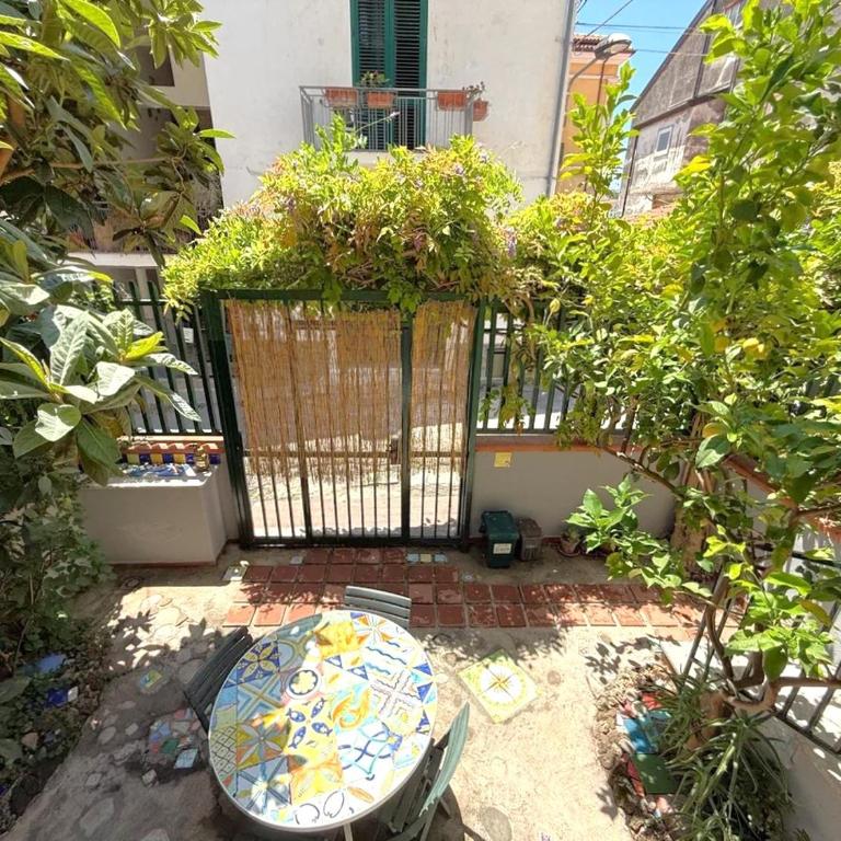 Historical Center with Garden "The Beach and The Cliff" 4 - Appartamento con Vista Giardino - 7