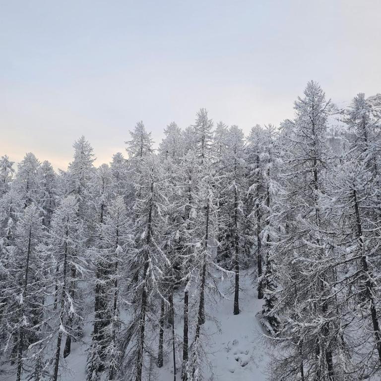 Studio 25m2 Vars, Chambeyron, Pied de Piste et Confort - Apartment mit 2 Schlafzimmern - 23