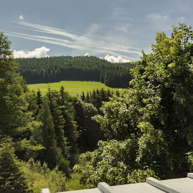 Vercors Signature à Villard de Lans - Appartamento con 3 Camere da Letto - 33