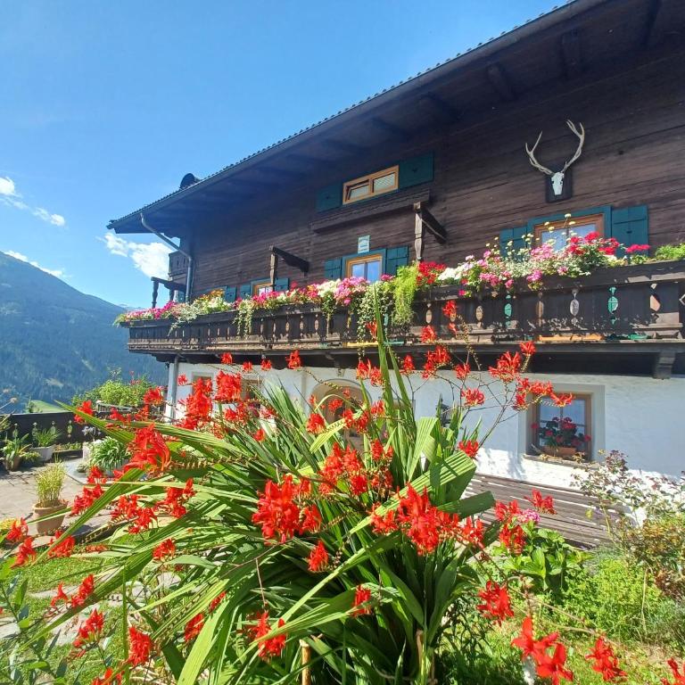 Stefflhof Mittersill - Budget Doppelzimmer - 3