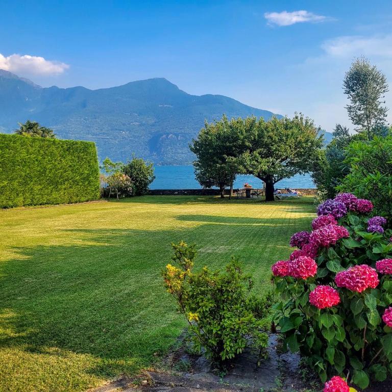 Vento Breva Garten Ferienwohnung - Appartamento con Vista Lago - 17