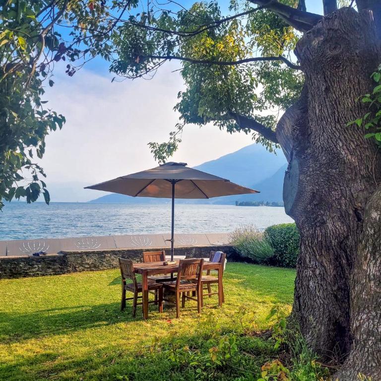 Vento Tivano Garten Ferienwohnung - Appartamento con Vista Lago - 2