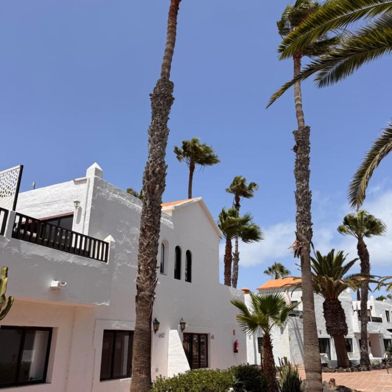 Oasis Jaylota - Apartamento de 1 dormitorio - 40