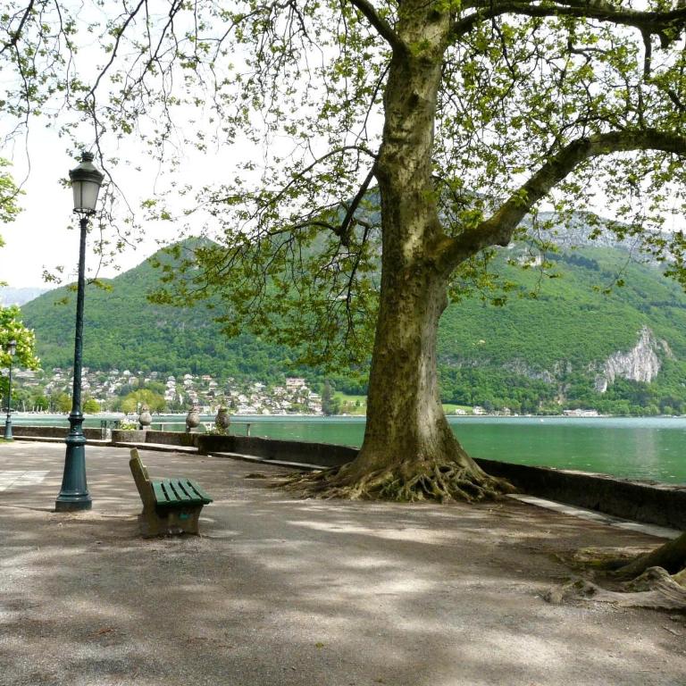 Lumineux 3 pièces à 350m du lac - Annecy quartier Imperial Plage Albigny - Two-Bedroom Apartment - 12
