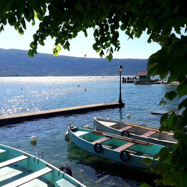 Lumineux 3 pièces à 350m du lac - Annecy quartier Imperial Plage Albigny - Two-Bedroom Apartment - 9