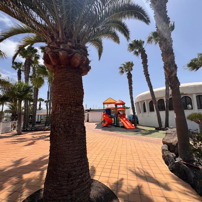 Dune Escape - One-Bedroom Apartment - 27