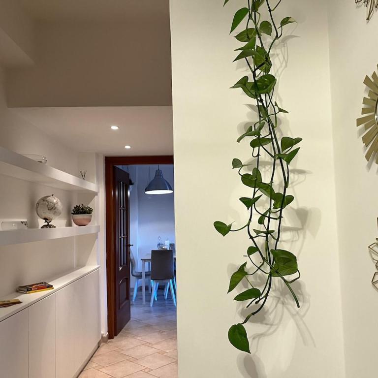 Casa di Ross - Appartamento con 1 Camera da Letto - 1