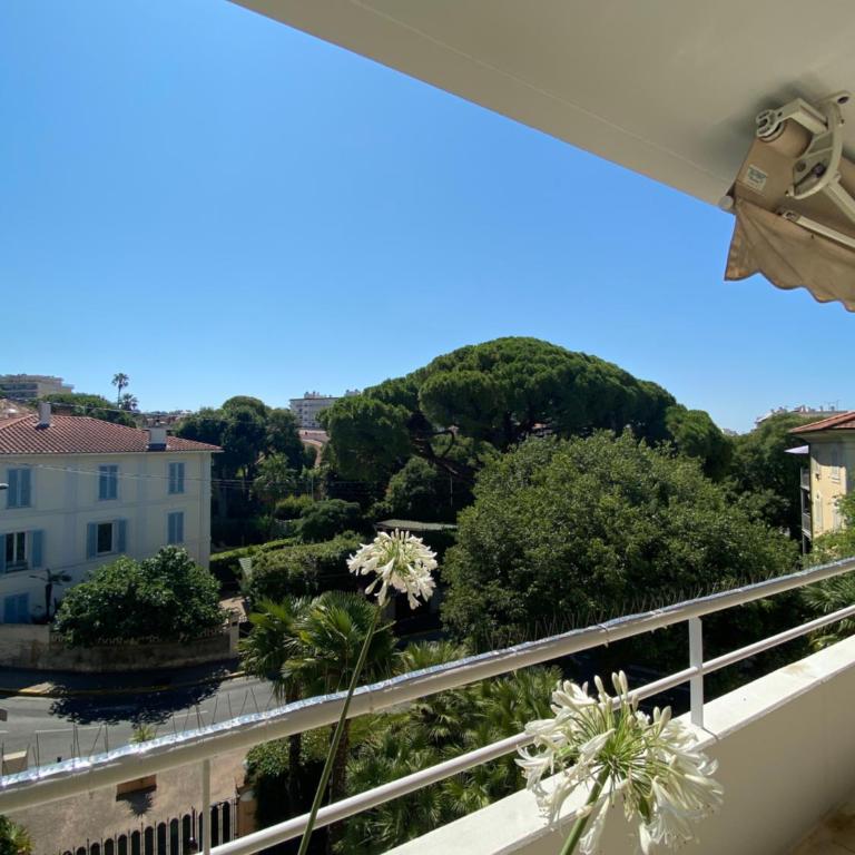 Prince de Galles - Appartement 1 Chambre avec Terrasse - 4